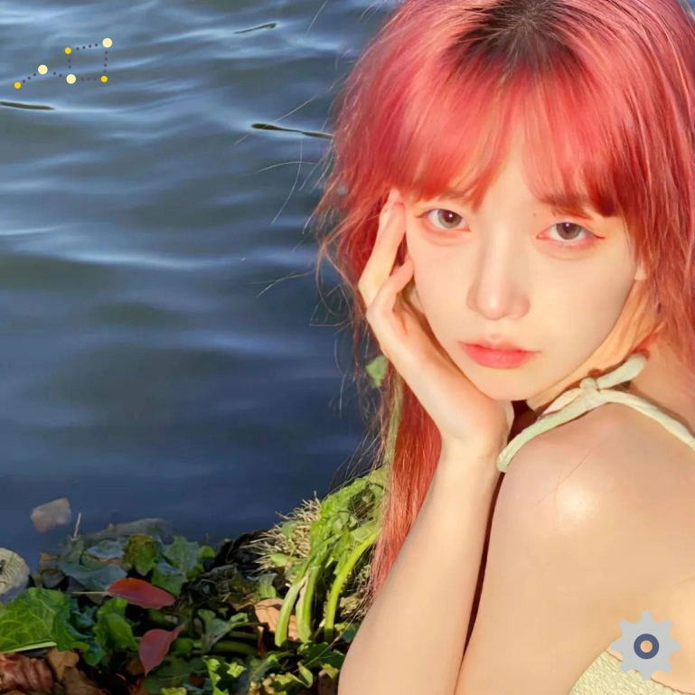 木棉
